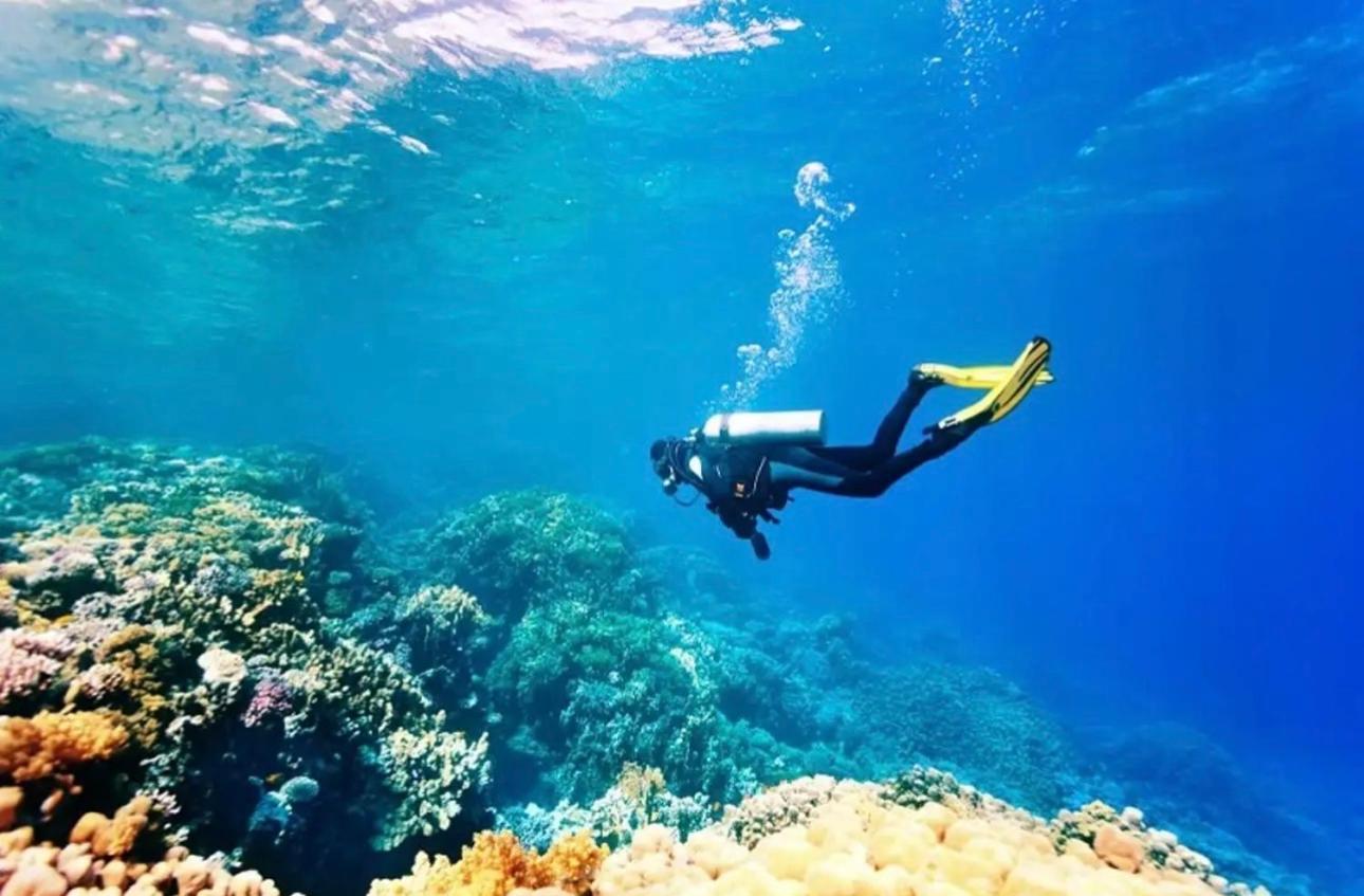 Chloe Marina Phu Quoc Lägenhet Exteriör bild
